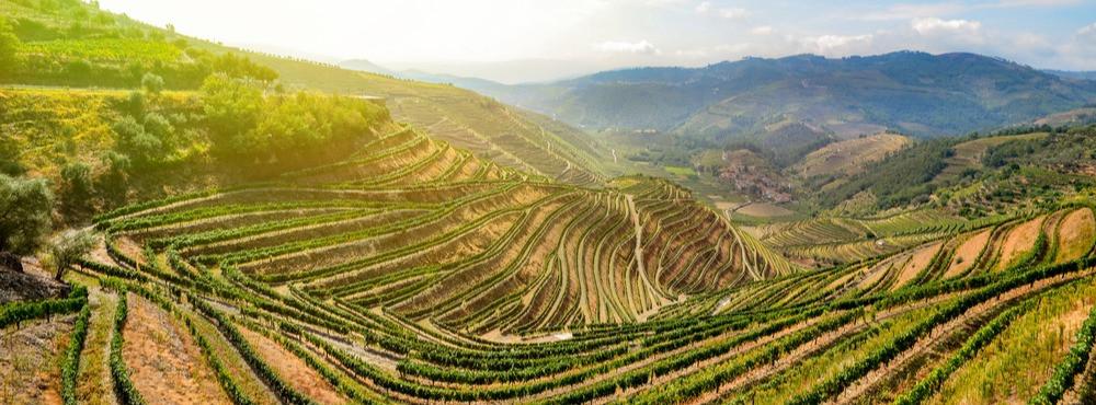 
                          Vin espagnol : les meilleures régions viticoles
                       - Interhome