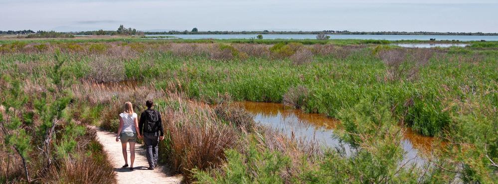 
                          Die schönsten Wanderungen in der Camargue
                       - Interhome