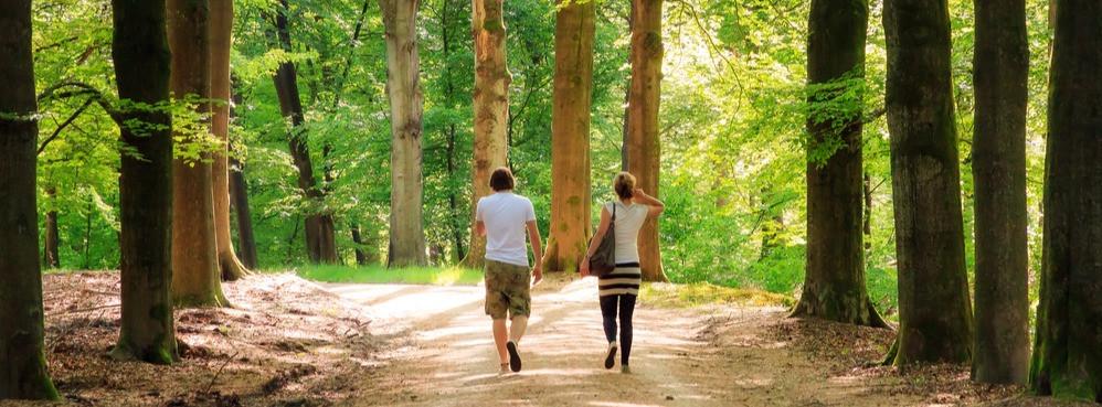 
                          Les plus belles randonnées des Pays-Bas
                       - Interhome