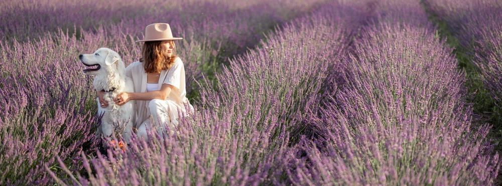 
                          Top10 Tipps: Ferien mit Hund in Frankreich
                       - Interhome