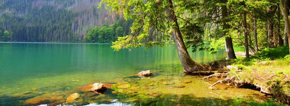 
                          Die schönsten Seen im Böhmerwald
                       - Interhome