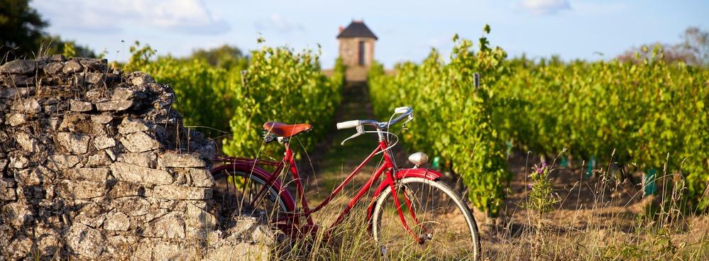 
                          Die schönsten Radwege im Burgund
                       - Interhome
