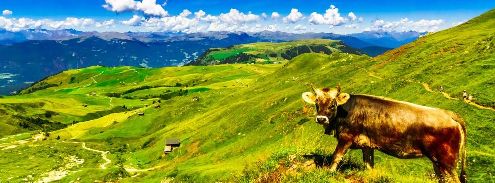 
                          Die 10 schönsten Wanderungen in Südtirol
                       - Interhome