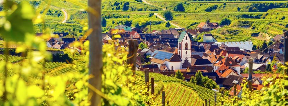 
                          Vin allemand : les meilleures régions viticoles
                       - Interhome