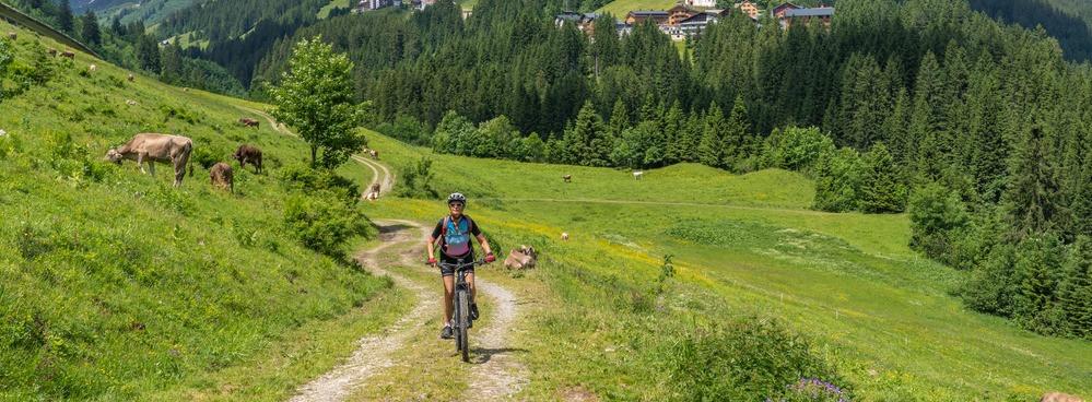 
                          Die 10 schönsten Mountainbike-Touren in Bayern
                       - Interhome