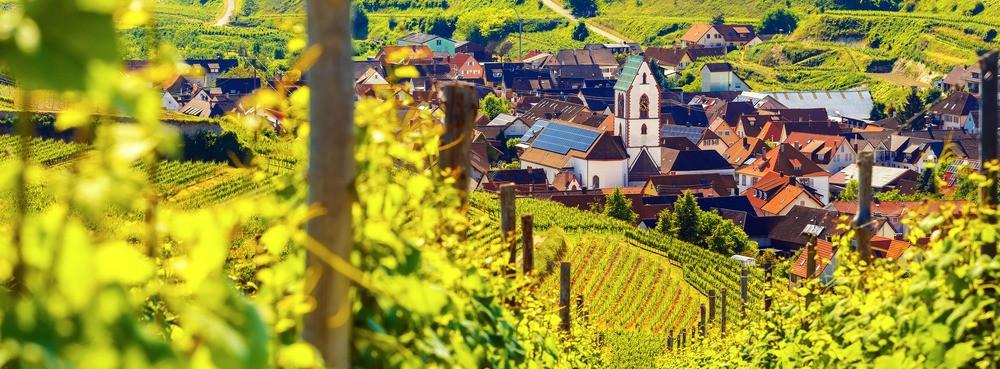 
                          Die besten Weinregionen in Deutschland
                       - Interhome