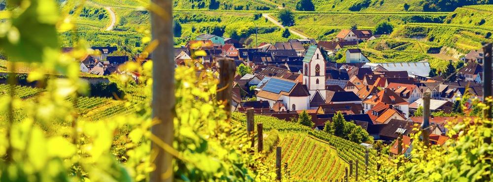 
                          Regiony winiarskie w Niemczech
                       - Interhome