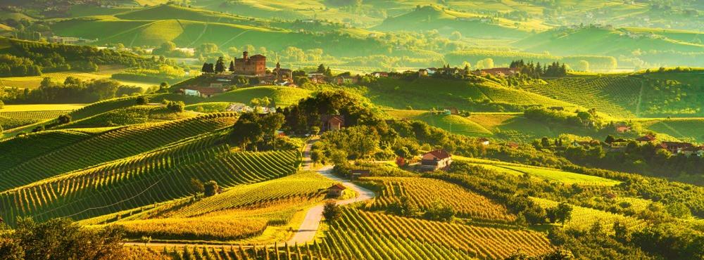 
                          Die besten Weinanbaugebiete der Toskana
                       - Interhome