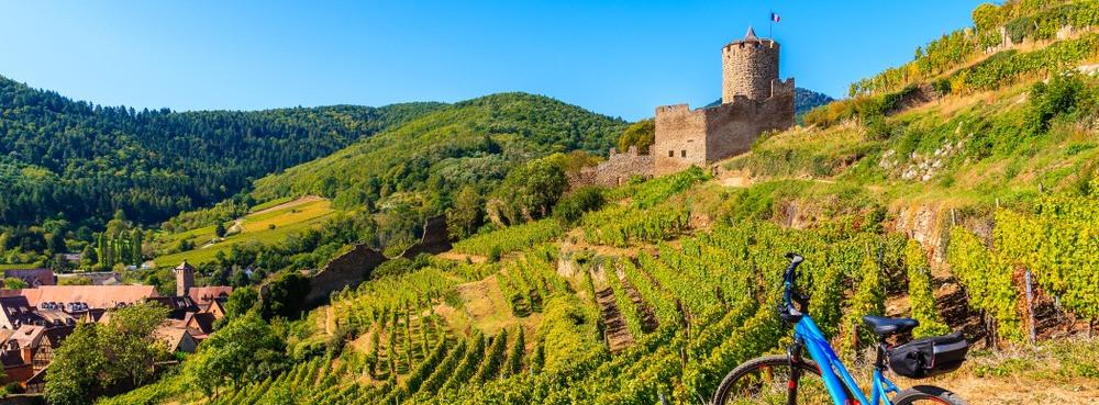 
                          Die schönsten Mountainbike-Touren in den Vogesen
                       - Interhome