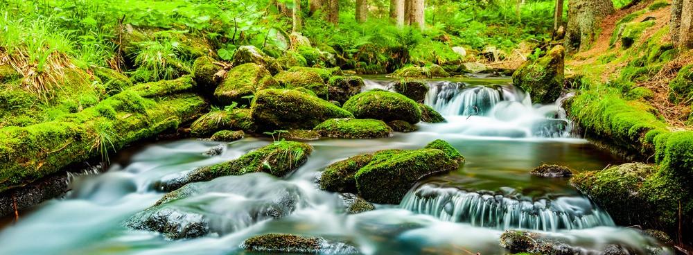 
                          Die 10 schönsten Wanderwege im Bayerischen Wald
                       - Interhome