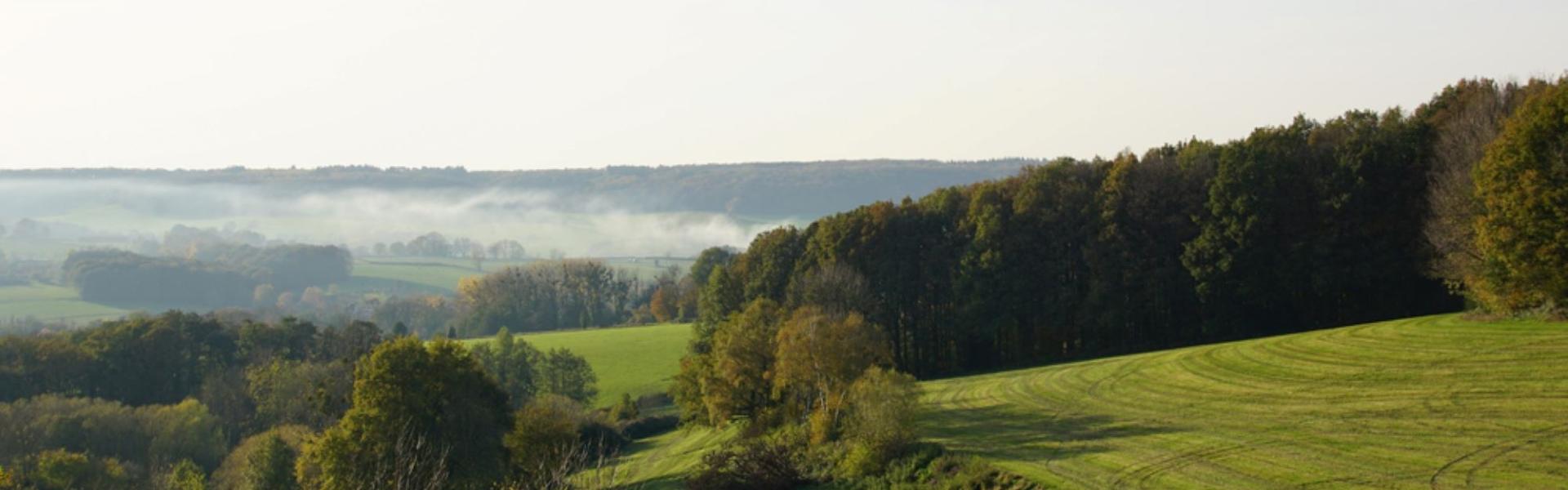 
                          Najwyższe "góry" do zdobycia w Holandii
                       - Interhome