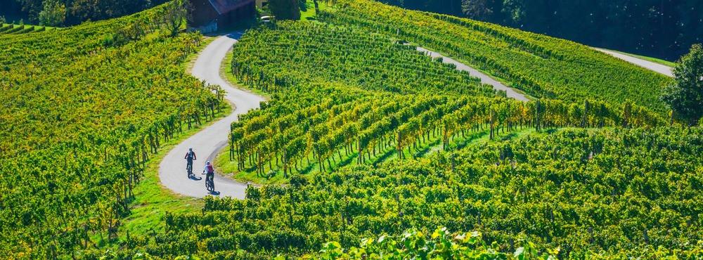 
                          Die schönsten Radtouren in der Toskana
                       - Interhome