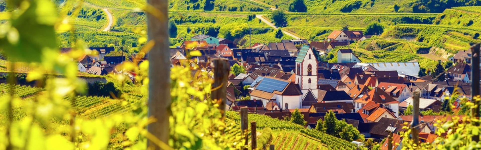 
                          De beste wijnregio’s in Duitsland
                       - Interhome