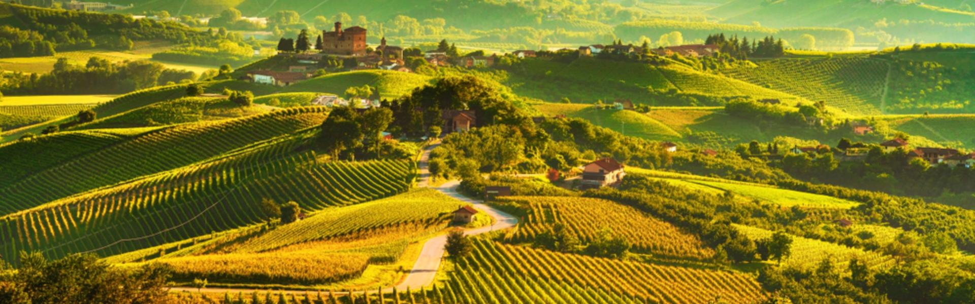 
                          Vin de Toscane: Les meilleures régions viticoles
                       - Interhome