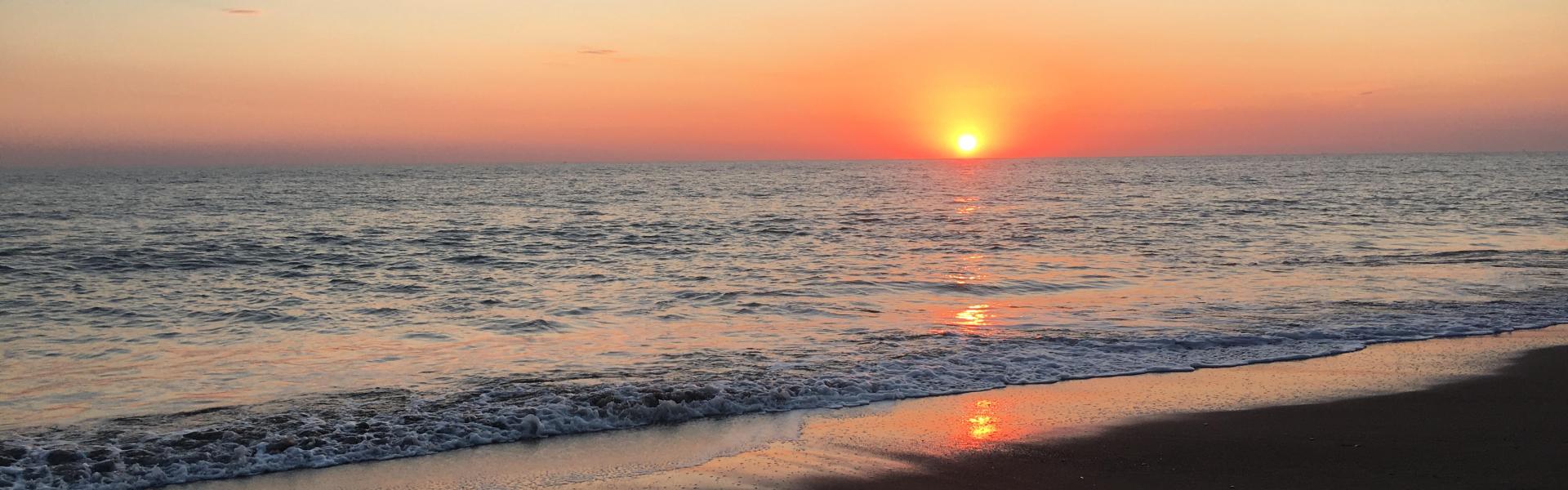 
        Marina di Bibbona: Alle Reiseziele, Tipps & Infos für Ihren Marina di Bibbona Urlaub!
       - Interhome