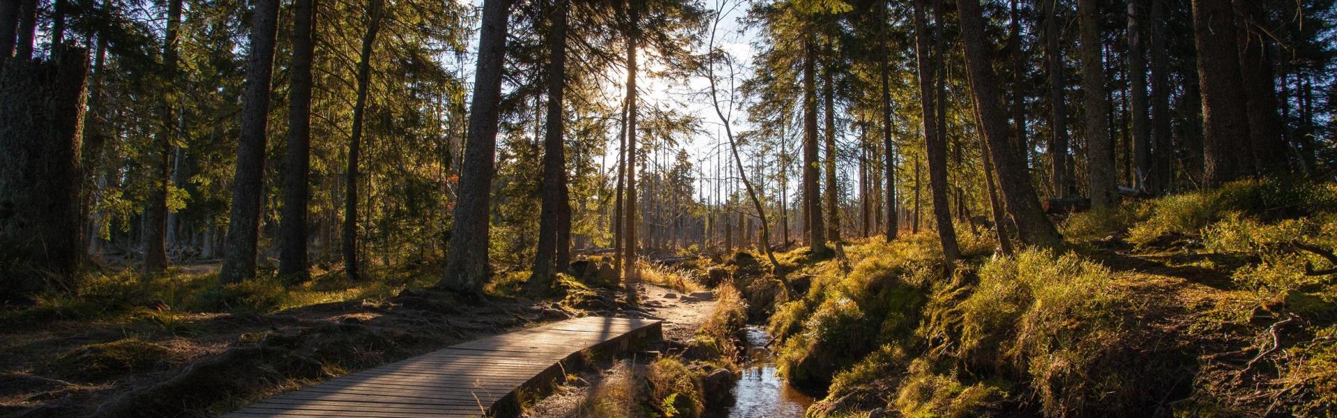 
        Harz: Alle Reiseziele, Tipps & Infos für Ihren Harz Urlaub!
       - Interhome