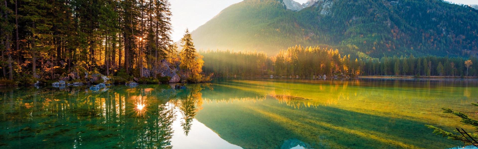 
        Beierse Woud: De beste Wandelroutes für voor uw vakantie!
       - Interhome