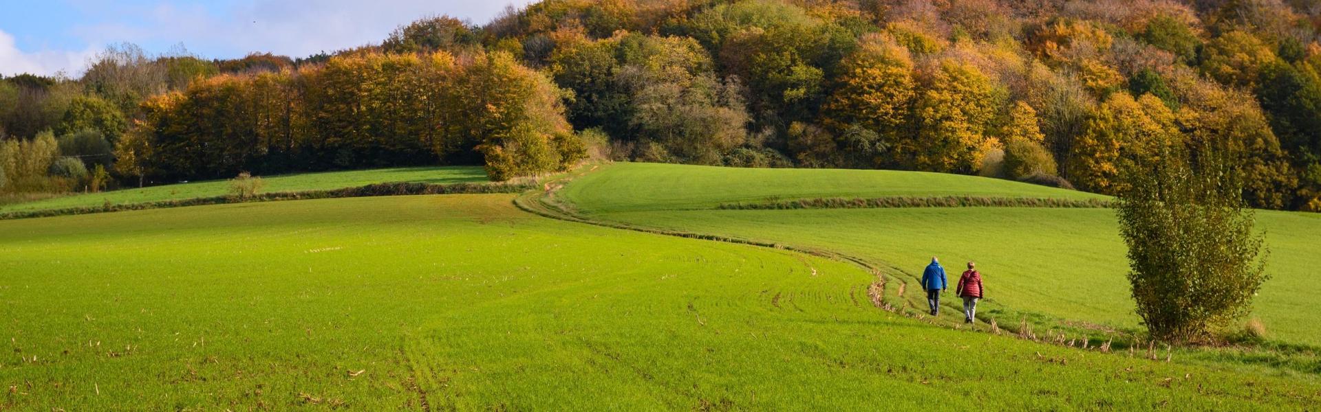 
        Belgien: Die besten Wanderwege für Ihren Urlaub!
       - Interhome
