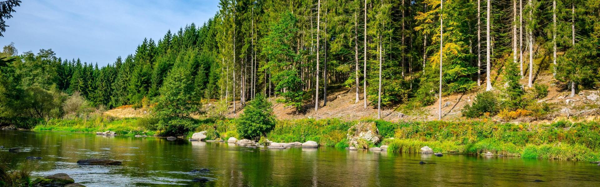 
        Beierse Woud: Alle bestemmingen, tips & info voor uw vakantie!
       - Interhome