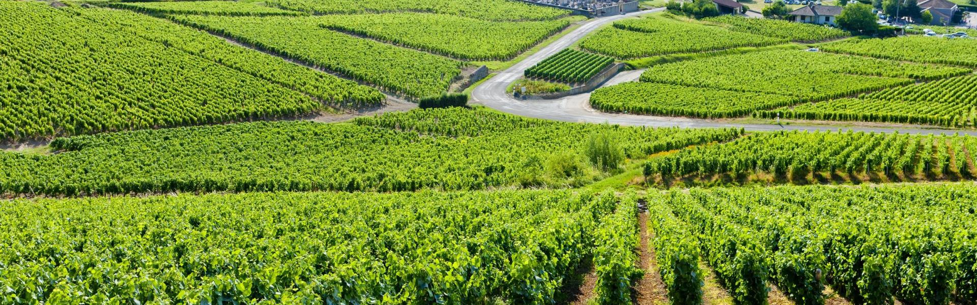 
        Bourgondië (Bourgogne): Alle bestemmingen, tips & info voor uw vakantie!
       - Interhome