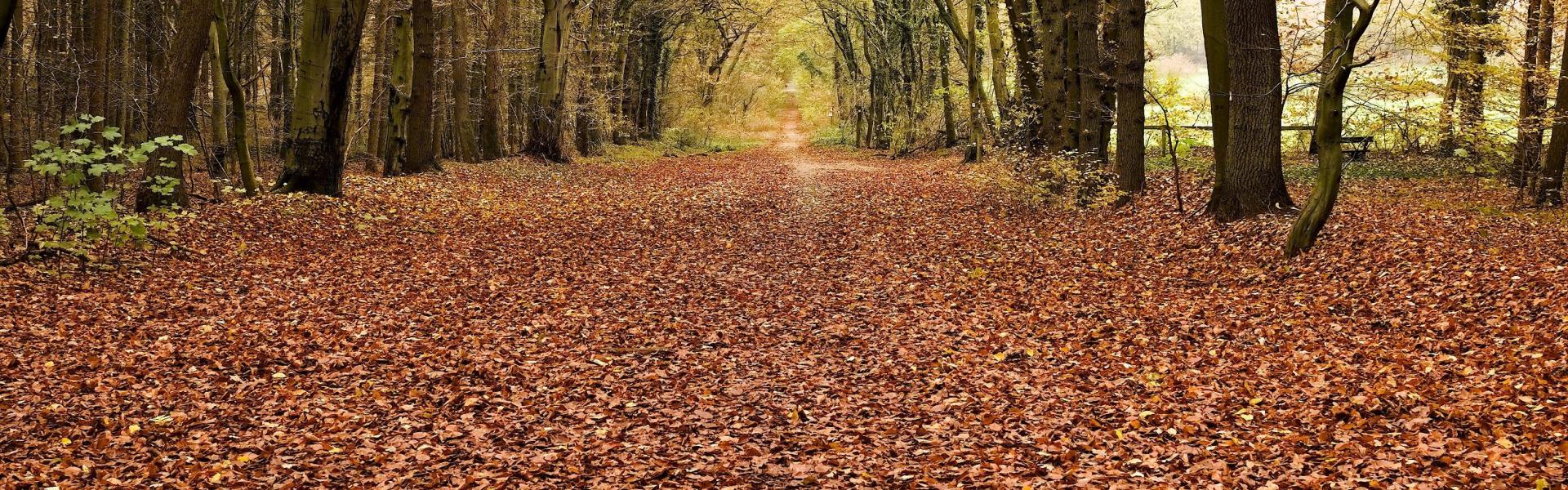 
        Wingst: Alle bestemmingen, tips & info voor uw vakantie!
       - Interhome