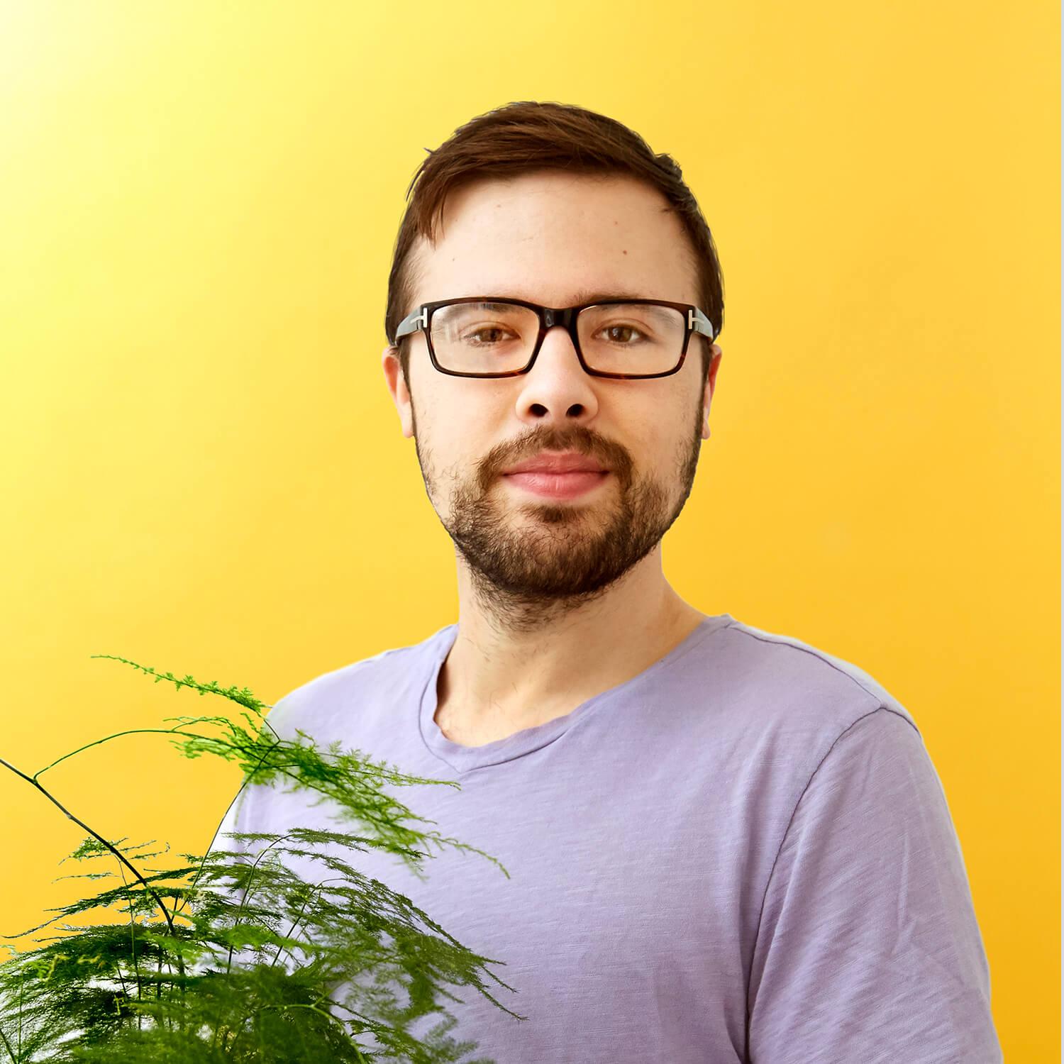 7 Houseplants That Will Cure Your Wanderlust HomeToGo