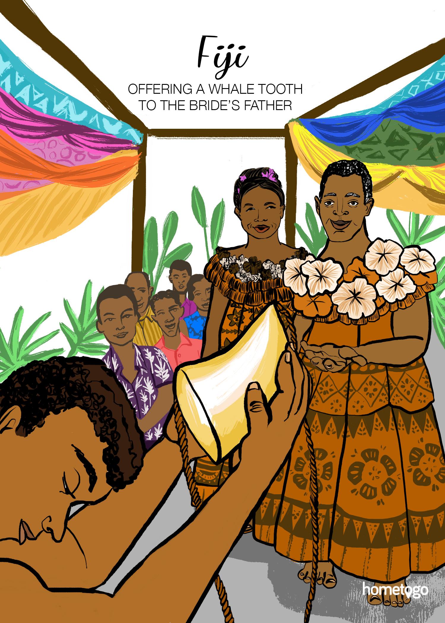 Illustration featuring the wedding custom from Fiji, where the groom has to offer a whale tooth to the bride's father