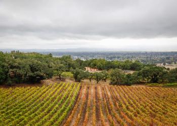 The California Wine Country experience in a Santa Rosa vacation home - HomeToGo