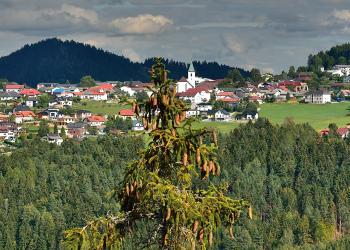 Ferienwohnungen und Unterkünfte in Tamsweg - HomeToGo