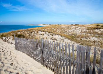 Delaware's Dewey Beach has holiday homes for all the family - HomeToGo