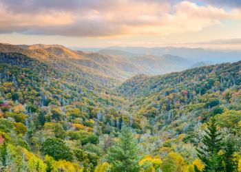 Vacation Rentals in Tennessee - HomeToGo