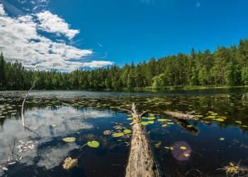 Südschweden