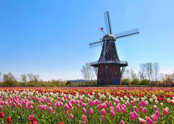 Vacation Rentals in Holland - HomeToGo