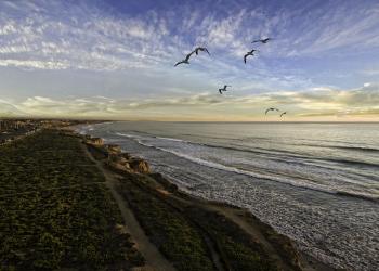 Explore Carlsbad, California from the comfort of your own vacation home - HomeToGo