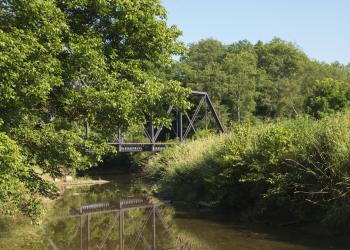 Explore Mountains and Forests with an Elkins Vacation Rental - HomeToGo