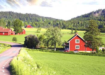 Mittelschweden