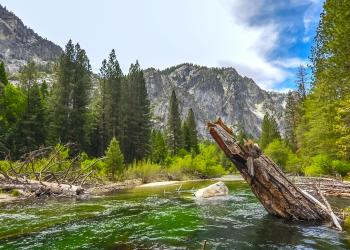 Holiday Cabins in Sequoia National Park - HomeToGo