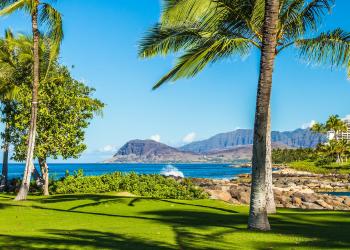 Watch dolphins play from your Ko Olina vacation rental - HomeToGo