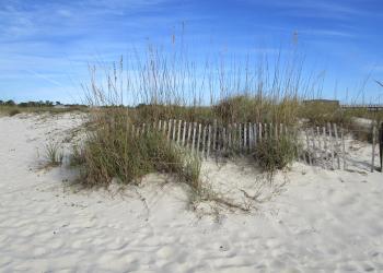 Discover secluded Edisto Beach holiday homes - HomeToGo