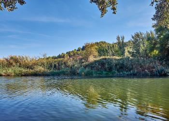 Alquiler vacaciones en Arganda del Rey, entre sabores y parajes únicos - HomeToGo