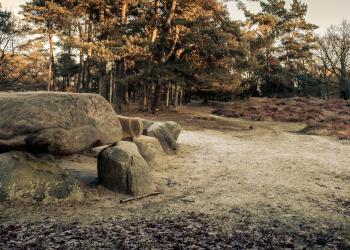 Vakantiehuizen in Diever: genieten van de Drentse natuur - HomeToGo