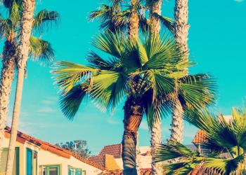 Spend your vacations Oceanside with a vacation rental - HomeToGo