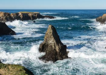 Explore scenic Fort Bragg with the comfort of a holiday letting  - HomeToGo