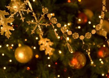 Unterkünfte für Weihnachten im Bayerischen Wald - HomeToGo
