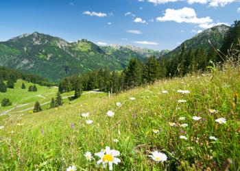 Idyll in den Allgäuer Alpen: eine Ferienwohnung in Sonthofen - HomeToGo