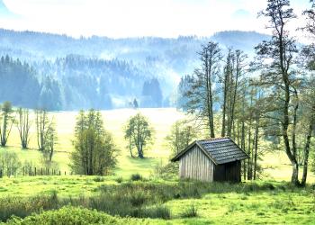 Ferienwohnungen im Oberallgäu: Erholung in den Alpen - HomeToGo