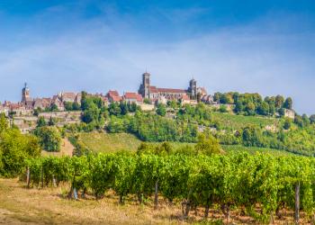 Beleef de wijnstreek Bourgogne vanuit een vakantiehuis - HomeToGo