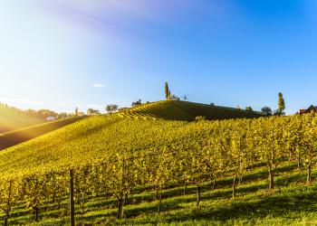 Ferienwohnungen in Klöch: Urlaub in idyllischem Weinbaugebiet - HomeToGo
