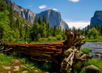 A vacation home at the gateway of the Yosemite Valley - Yosemite West - HomeToGo