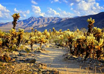 Soak in the atmosphere at Desert Hot Springs vacation homes - HomeToGo